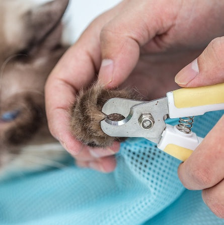 Adjustable Cat Grooming Bag – Soft Mesh Shower & Nail Trimming Holder for Safe Bathing and Care