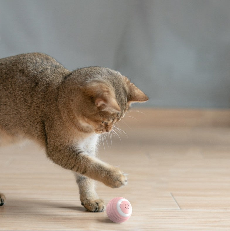 Automatic Bouncing Rolling Ball – Smart Self-Moving Cat Toy Ball for Indoor Cats & Kittens