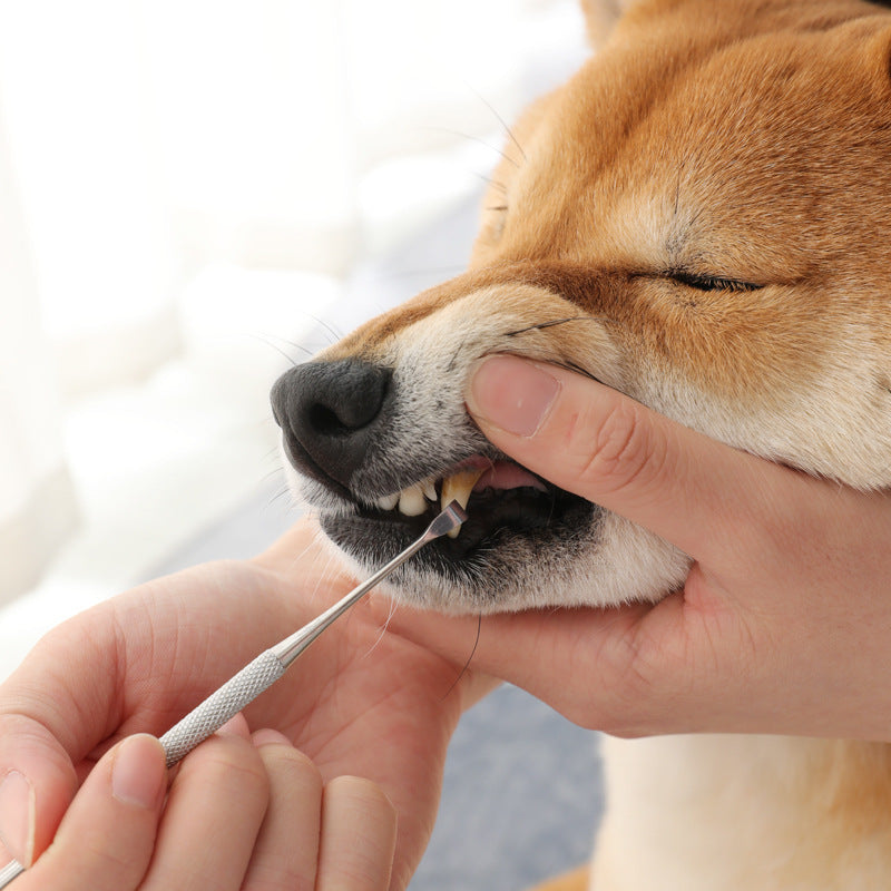 Pet Beauty Pen – Hair Touch-Up and Grooming Tool for Dogs & Cats, Easy Coat Care