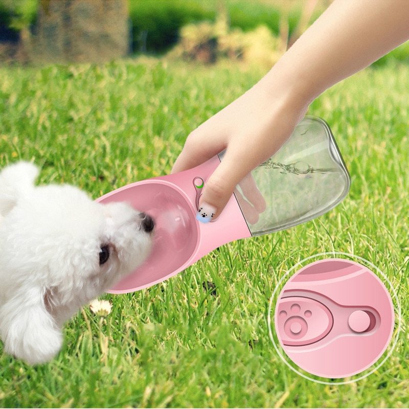 Pet Watering and Feeding