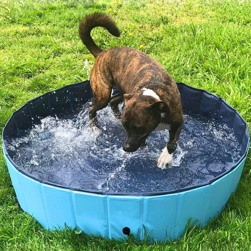 Foldable Dog Pool – Collapsible Pet Bath Tub for Dogs, Cats & Kids | Indoor & Outdoor Use