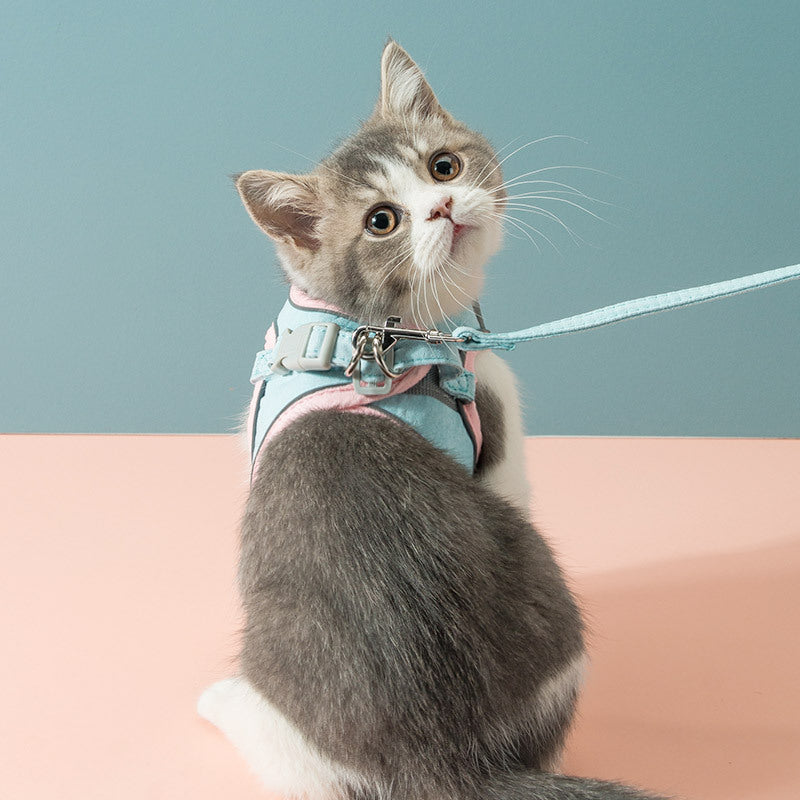Cat Harness and Leash Set – Escape-Proof Chest Strap with Traction Rope for Indoor & Outdoor Cats