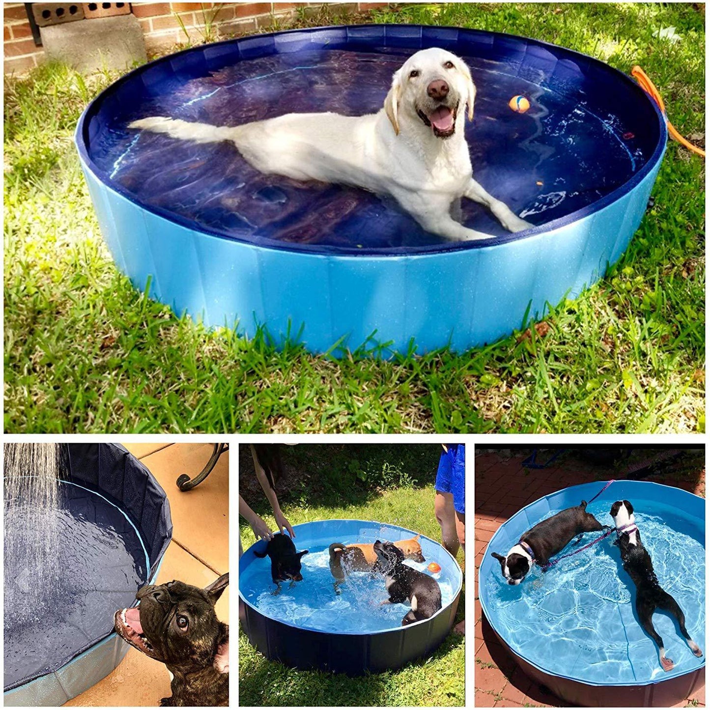 Foldable Dog Pool – Collapsible Pet Bath Tub for Dogs, Cats & Kids | Indoor & Outdoor Use