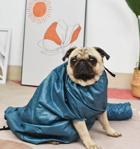 Automatic Pet Drying Bag with Quick-Dry Hair Dryer – Portable Grooming & Bathing Dryer for Dogs & Cats