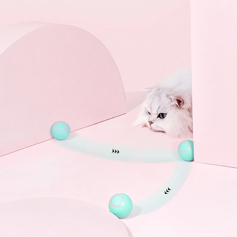Remote Control Cat Toy Car – USB Charging Interactive Self-Moving Toy for Indoor Cats & Kittens