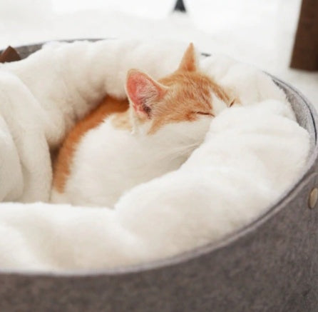 pet bed，cat bed