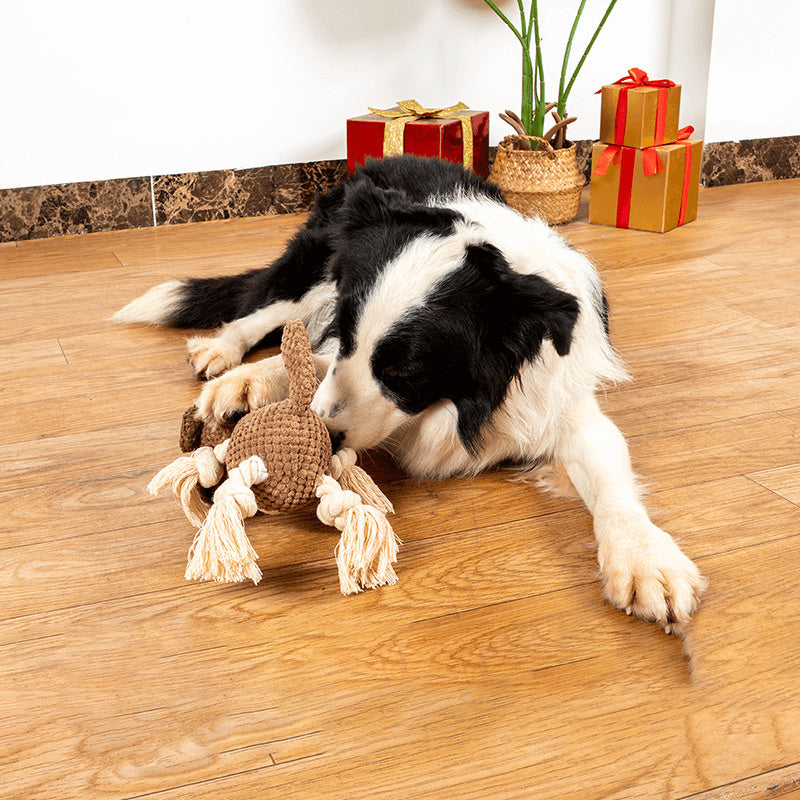 Plush Shell Dog Toy – Bite-Resistant Squeaky Chew Toy with Crinkle Paper for Puppies & Large Dogs